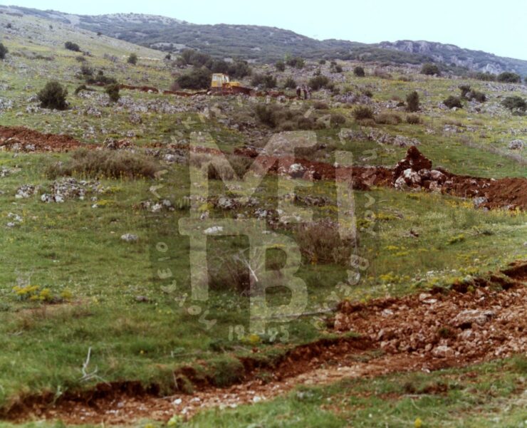 2 https://www.maniatis.edu.gr/wp-content/uploads/2026/08/6.jpg